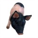 Resin Black Pig 65x21x39.5cm