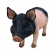 Resin Black Pig 65x21x39.5cm