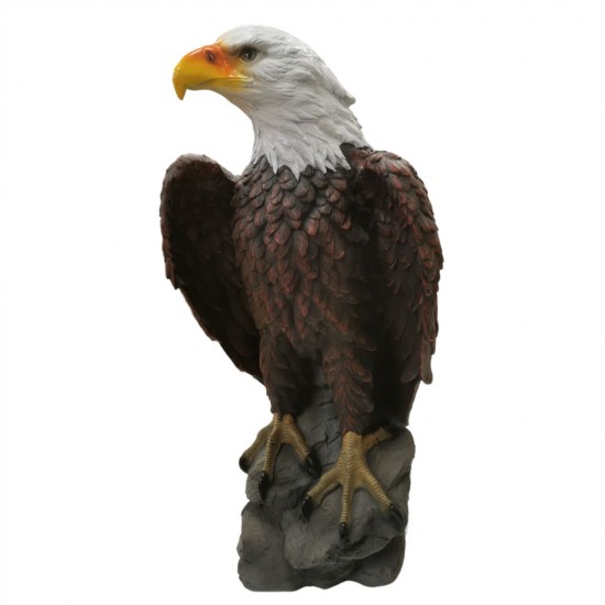 Fiberglass Eagle 33x31.5x62cm