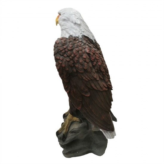 Fiberglass Eagle 33x31.5x62cm