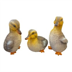 3/A Resin Duck 8x7.8x14/8x9.5x13.5/7.5x9.3x13.3cm