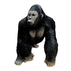 *Fiber Glass Gorilla 120x70x92cm